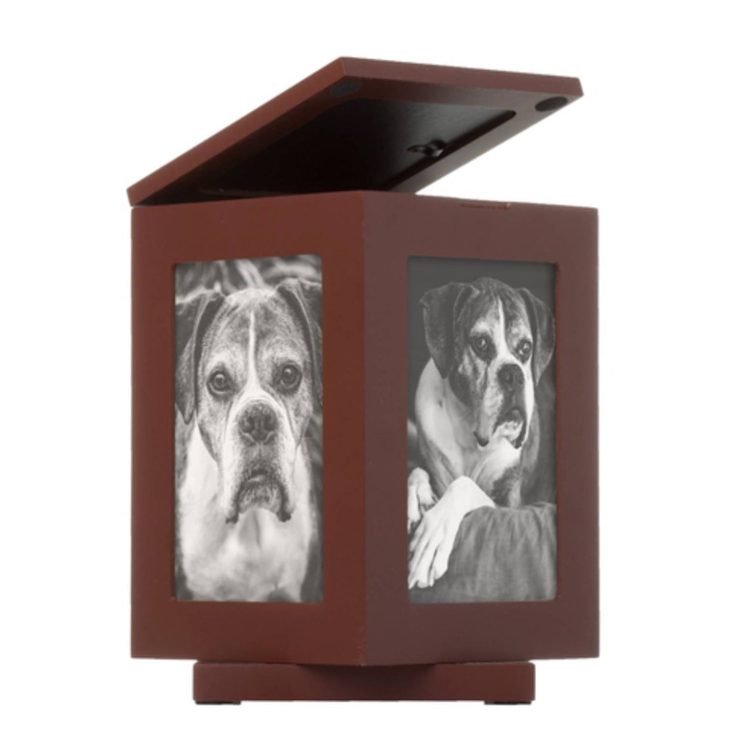 Rotating Pet Memory Box in Espresso