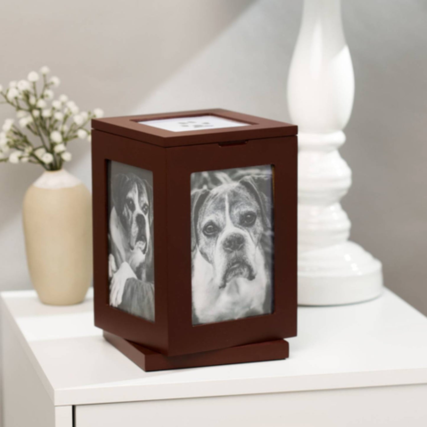 Rotating Pet Memory Box in Espresso