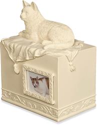 Angel Star Beloved Companion Cat Urn